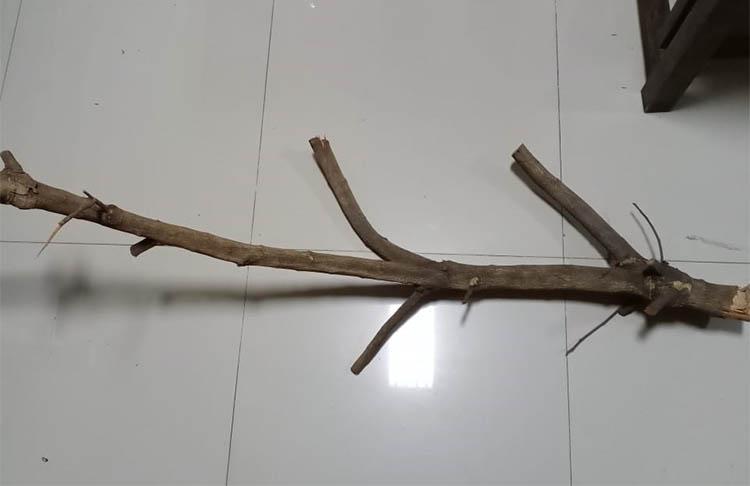 Pelajar Bantul Jadi Korban Penganiayaan di Jalan, Polisi: Kasus Masih Diselidiki