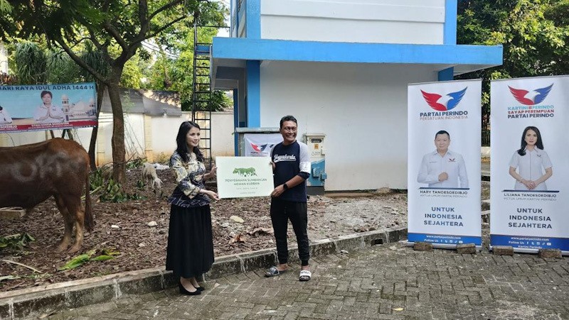 Peduli pada Masyarakat, Partai Perindo Sumbang Sapi Kurban Seberat 600 Kg - Bagian 3