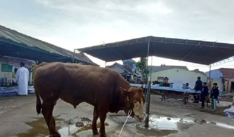 Warga Muhammadiyah Pangkalpinang Potong 15 Hewan Kurban di Masjid Muhajirin