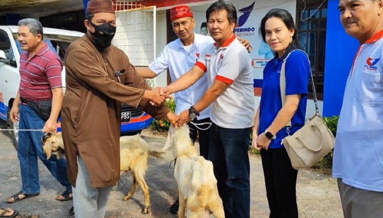 DPW Partai Perindo Babel Bagikan 3 Hewan Kurban, Ini Penerimanya 