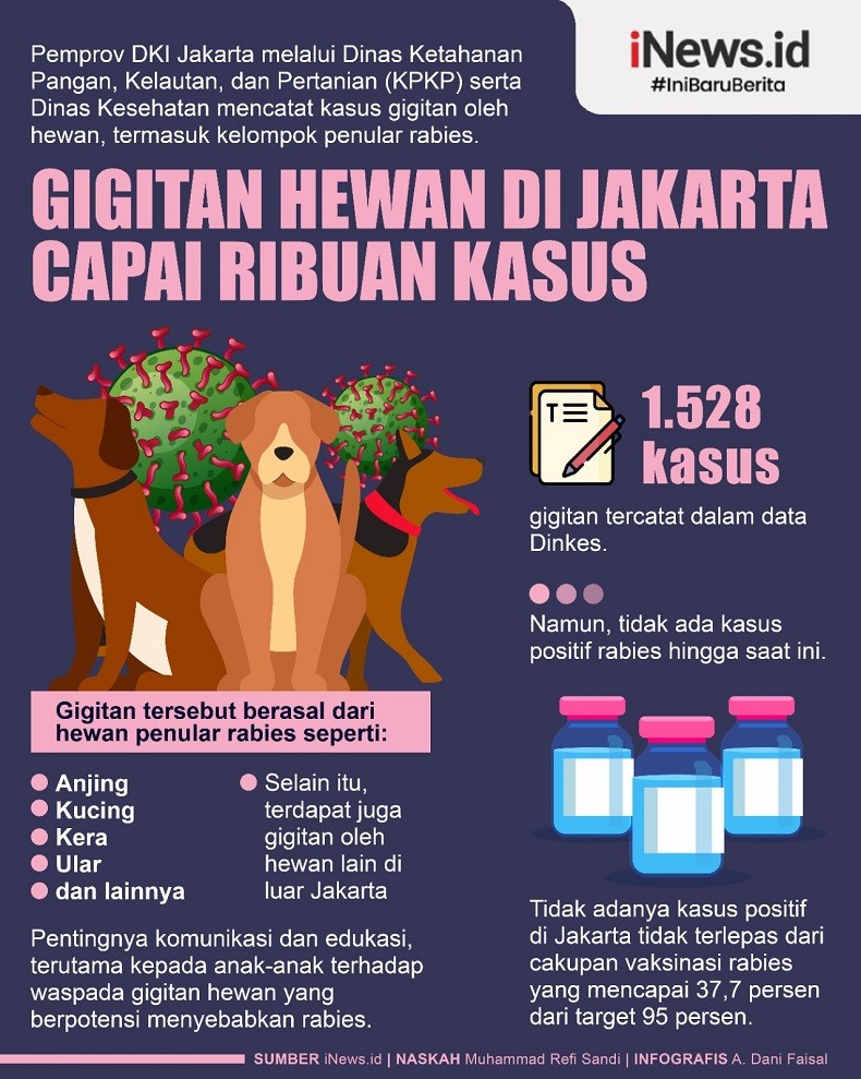 Infografis Gigitan Hewan di Jakarta Capai Ribuan Kasus