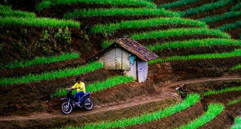 6 Surga Tersembunyi Di Majalengka Ada Di Tengah Hutan Hingga Suasananya Seperti Di Bali 0087