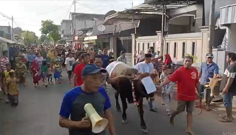 Idul Adha, Warga Probolinggo Hias dan Arak Hewan Kurban Keliling Kampung 