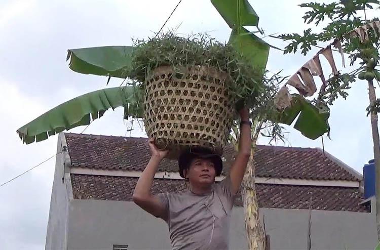 Mengenal Kapolsek Gamping Kompol Surahman, Tak Malu Merumput Cari Pakan Kambing