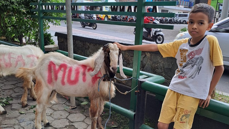Kisah Inspiratif Muiz, Bocah SD di Malang Rela Tahan Jajan demi Beli Kambing Kurban