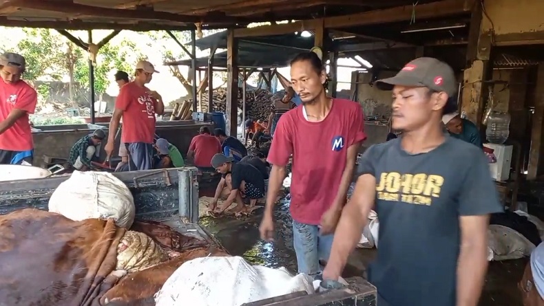 Kulit Sapi dan Kambing Kurban Berkah bagi Jagal dan Industri Kerupuk di Majalengka