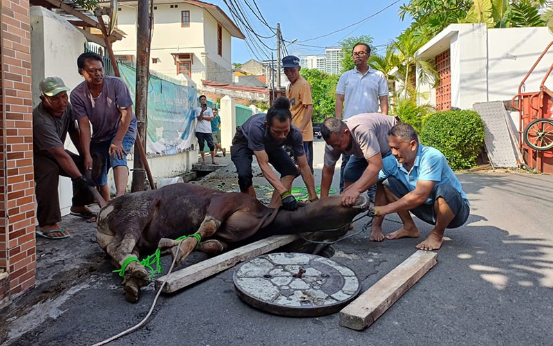 Indofood Salurkan Bantuan Hewan Kurban Idul Adha 2023 - Bagian 3