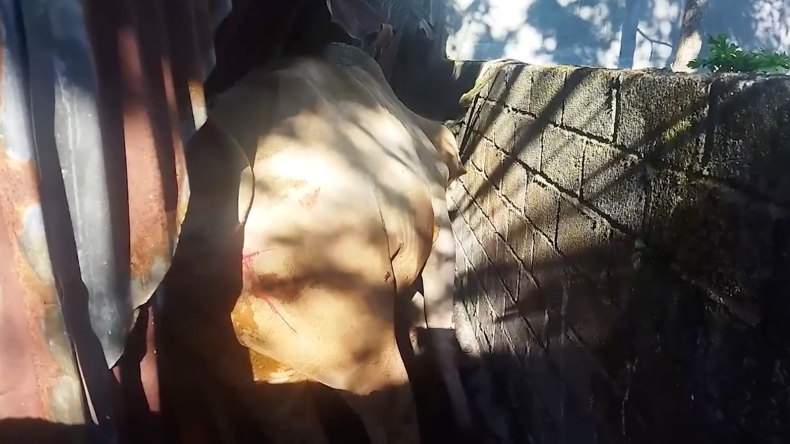 Ngamuk saat Disembelih, Sapi Kurban di Solok Kabur ke Dapur Rumah Warga