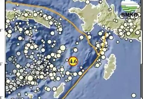 Gempa Hari Ini M 4,6 Guncang Maluku Tenggara, Berpusat di Darat
