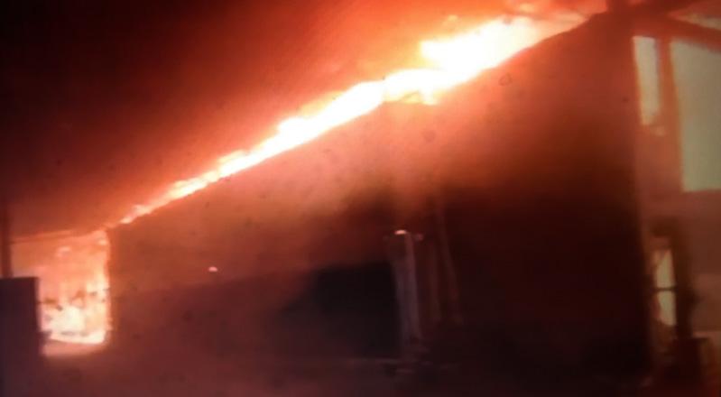 Kandang Ayam di Sragen Ludes Terbakar, Puluhan Ribu Ekor Mati