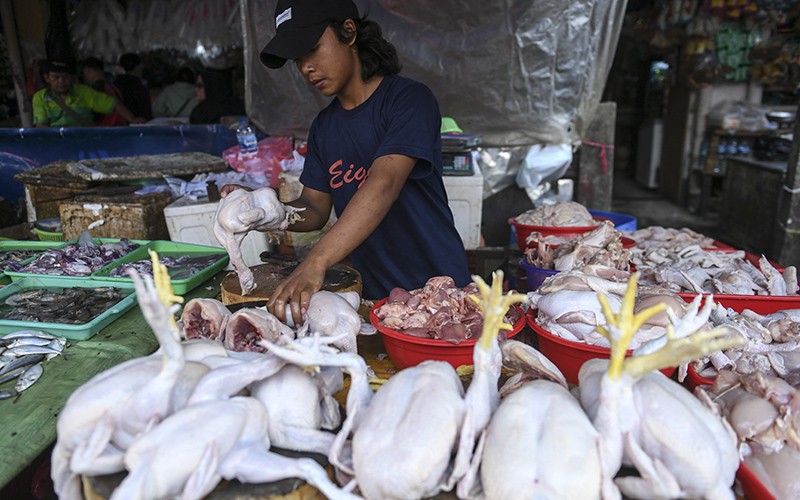 Inflasi Juni 0,14 Persen, Penyumbang Terbesar Daging Ayam Ras - Bagian 1