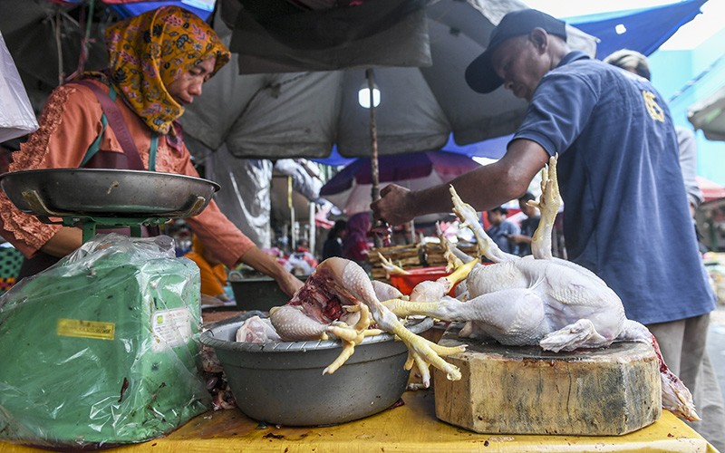 Inflasi Juni 0,14 Persen, Penyumbang Terbesar Daging Ayam Ras - Bagian 2
