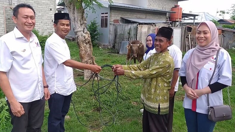 Bacaleg Partai Perindo Palu Berkurban Sapi, Daging Kurban Dibagikan ke Masyarakat Taipa