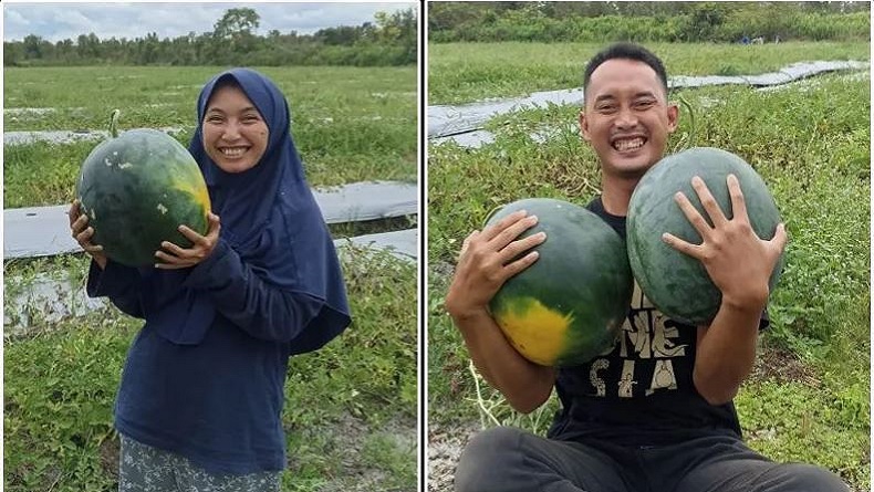 title Kisah Sejoli Lulusan UI dan Unair, Kini Sukses Jadi Petani Buah di Palangka Raya Kisah Sejoli Lulusan UI dan Unair, Kini Sukses Jadi Petani Buah di Palangka Raya