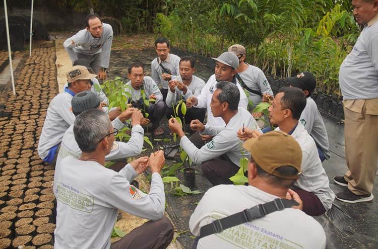 Rehabilitasi DAS di Perbukitan Menoreh-Borobudur, Petani Magelang Dilatih Budi Daya Alpukat
