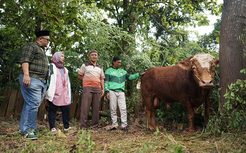 Grab Indonesia Sumbang Sapi Seberat 1 Ton dan Ratusan Kambing - Bagian 1