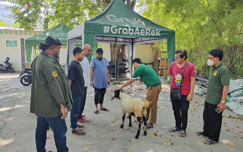 Grab Indonesia Sumbang Sapi Seberat 1 Ton dan Ratusan Kambing - Bagian 2