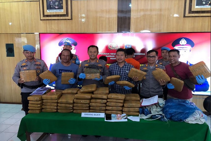 Diwarnai Kejar-kejaran, Polres Pariaman Gagalkan Peredaran 77 Paket Ganja Kering