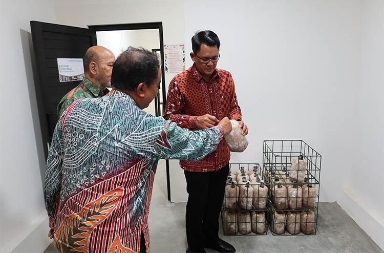 Nagoya University Jepang Dukung UGM Kembangkan Budi Daya Jamur Konsumsi