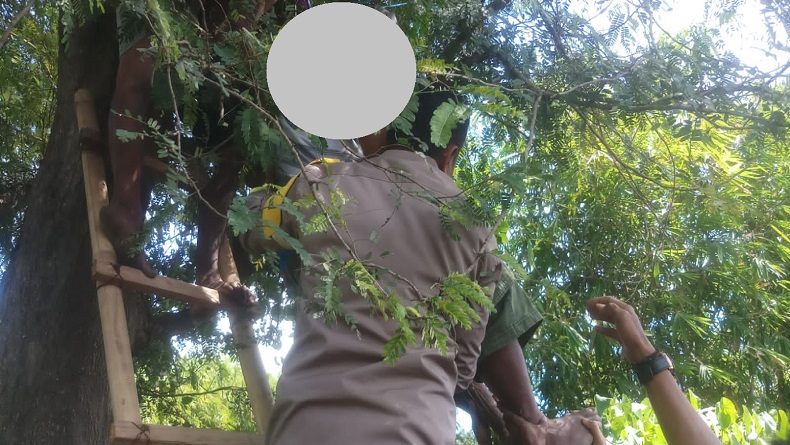 Merinding, Juru Kunci Kuburan Ditemukan Tewas Gantung Diri di Pohon Asam