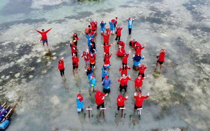 Penanaman Bibit Pohon Mangrove di Kepulauan Seribu - Bagian 3