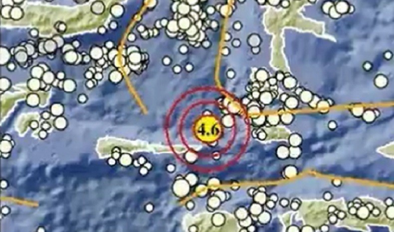 Gempa Hari Ini M4,6 Guncang Maluku Utara, Pusat Getaran di Laut