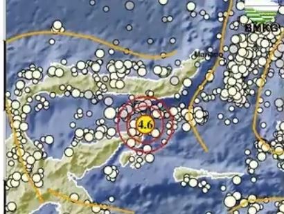 BMKG Gempa Terkini M 4,6 Guncang Bolaanguki Sulut Hari Ini 17 Juli 2023