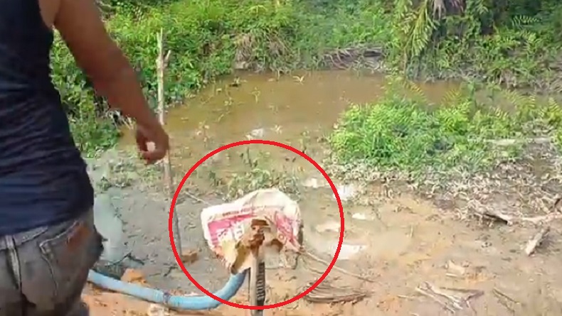 Geger Sumur Bor Keluarkan Bau Gas hingga Percikan Api di OKI, Warga Panik