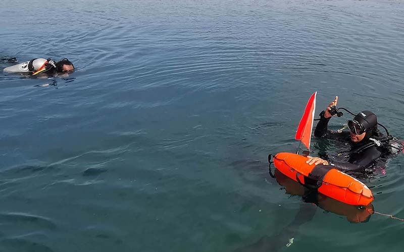 Pencarian 15 Korban Tenggelam di Teluk Liana Bangai Sulawesi Tenggara - Bagian 2