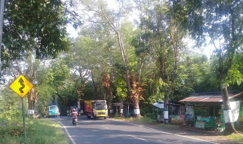 Menyusuri Tanjakan Semingkir Pemalang, Jalur Angker yang Menyimpan Pesona Alam Indah