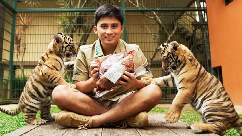 Harimau Cenora Milik Alshad Ahmad Dikabarkan Mati, BBKSDA Jabar Akan Cek Kebenarannya