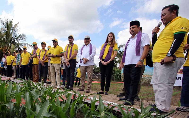 Petani NTB Panen Perdana Jagung Bioteknologi, Pendapatan Meningkat 30 Persen - Bagian 3