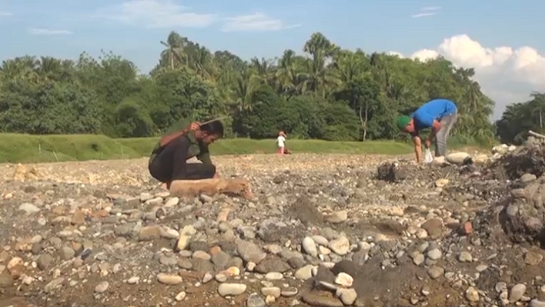  Sungai Mengering, Warga Bireuen Aceh Aji Mumpung Berburu Batu Akik