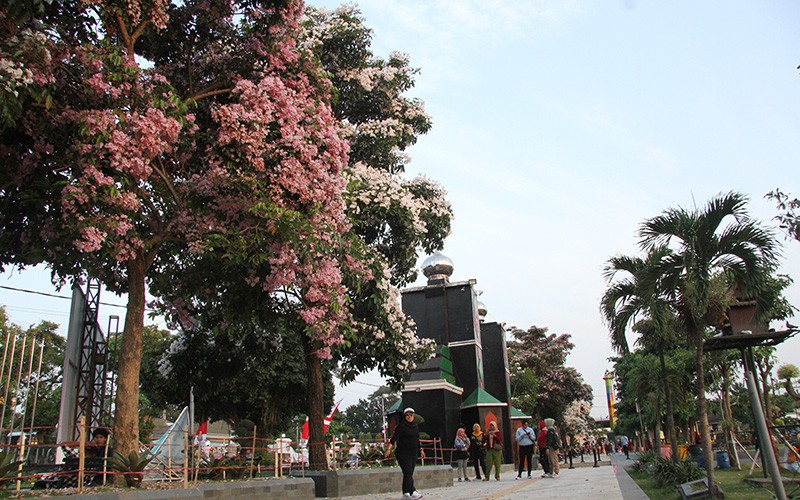 Indahnya Bunga Tabebuya Bermekaran di Alun-Alun Jombang - Bagian 1