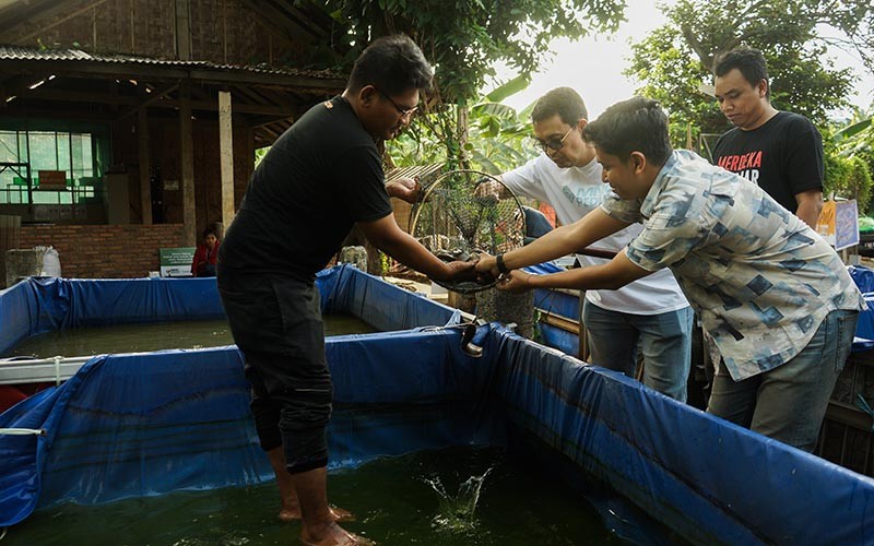 Panen Pupuk Bio Konversi dan Maggot, MNC Peduli Salurkan ke Komunitas Anak Jalanan di Bekasi - Bagian 4