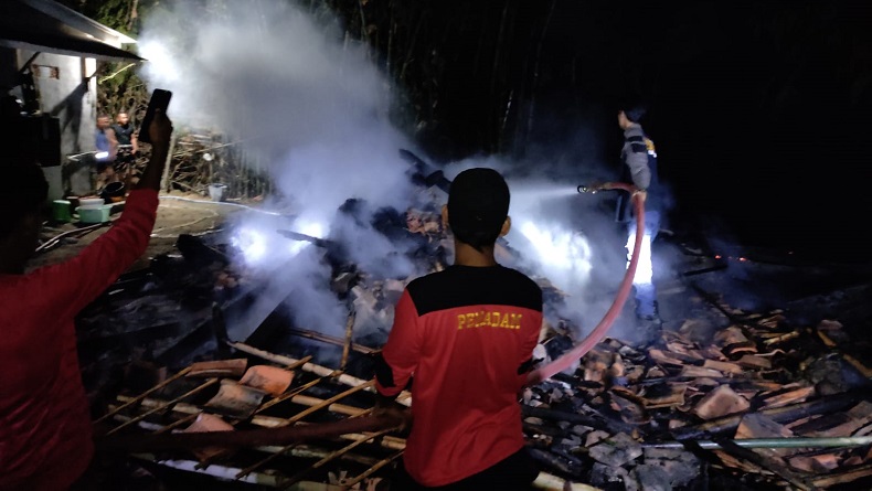 Pemilik Bakar Jerami Dekat Kandang, 2 Ekor Sapi di Sampang Luka hingga Kulit Melepuh