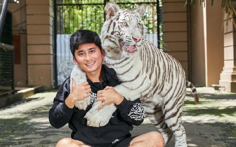 Buntut Kematian Cenora, BBKSDA Jabar Evaluasi Izin Penangkaran Harimau Benggala Alshad Ahmad