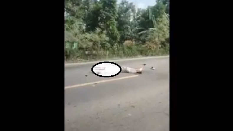 Identitas Korban Tewas Kecelakaan di Mesuji Lampung, Edi Yusuf 54 Tahun Warga Palembang