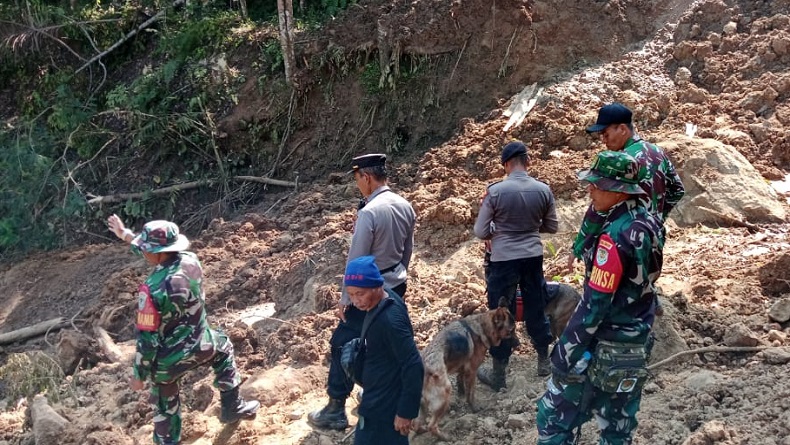 Tim SAR Turunkan Anjing Pelacak Cari Petani Tertimbun Longsor di Pasirkuda Cianjur