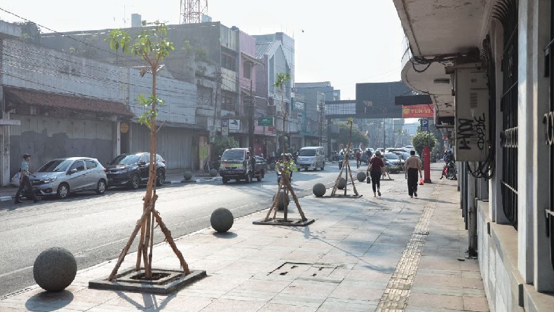 OTW Bandung Teduh, 100 Pohon Pule Ditanam di Jalan Sudirman