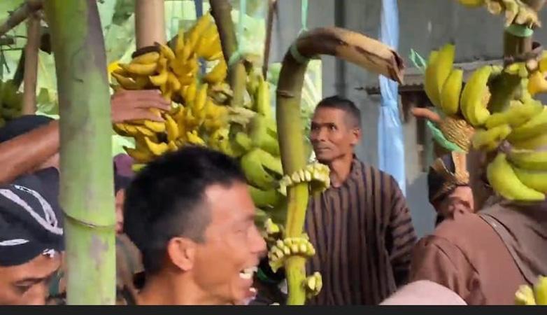 title Ngalap Berkah Sedekah Bumi, Ratusan Warga Banjarnegara Berebut Pisang dan Jajanan Pasar Ngalap Berkah Sedekah Bumi, Ratusan Warga Banjarnegara Berebut Pisang dan Jajanan Pasar