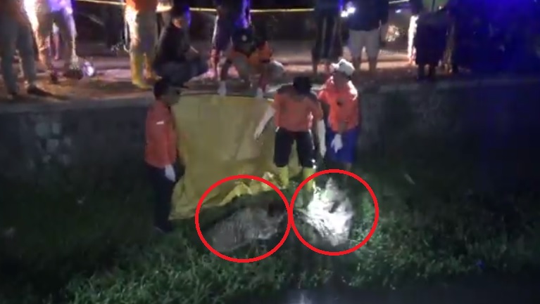 Jombang Gempar, Warga Temukan 2 Karung Berisi Potongan Tubuh Manusia