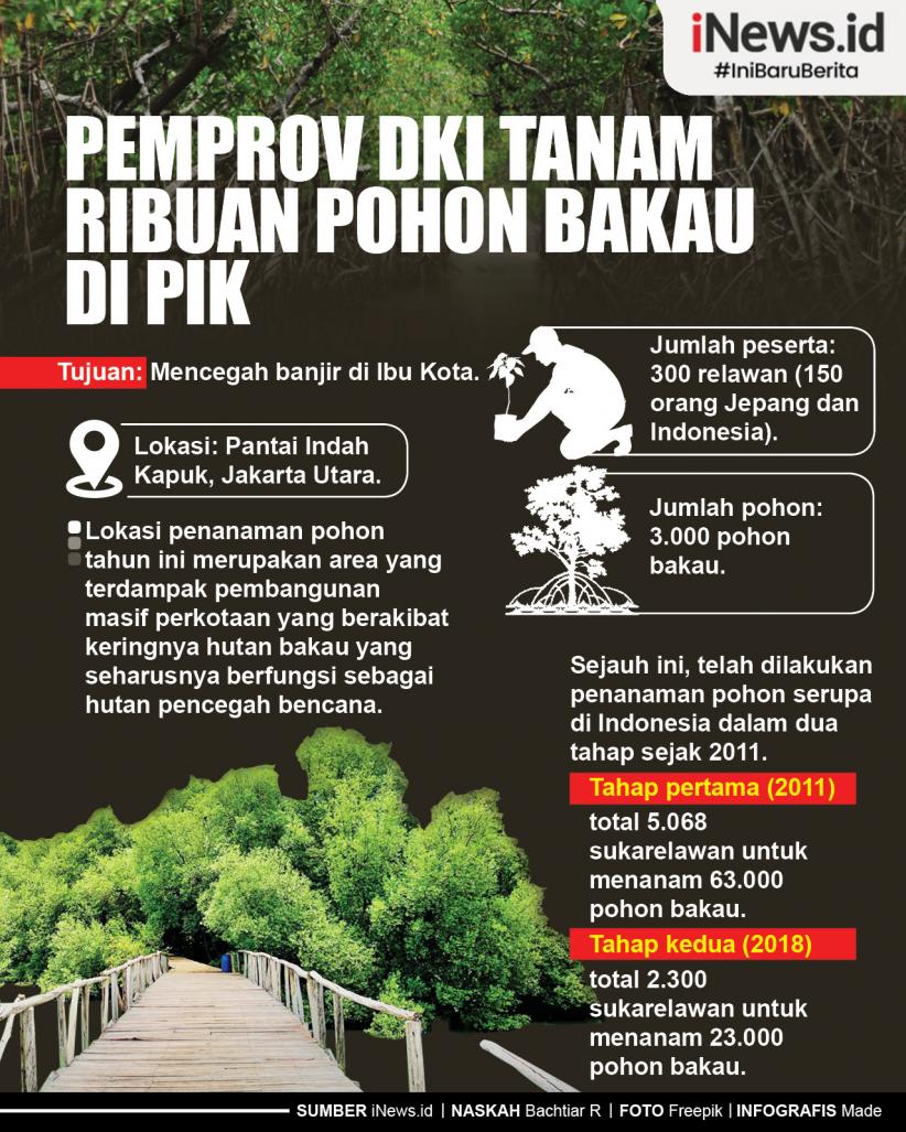 Infografis Pemprov DKI Tanam Ribuan Pohon Bakau di PIK