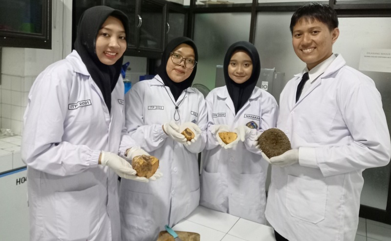 title Olah Umbi Porang, Mahasiswa UMM Sukses Bikin Makanan Pencegah Diabetes pada Anak Olah Umbi Porang, Mahasiswa UMM Sukses Bikin Makanan Pencegah Diabetes pada Anak