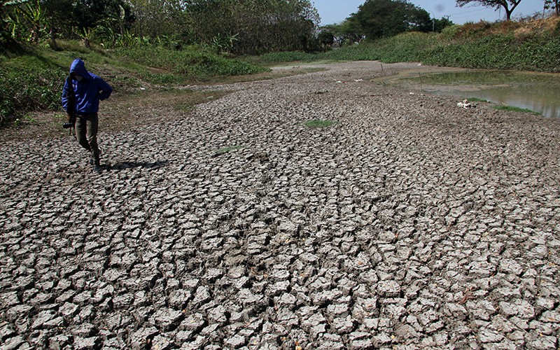 Penampakan Embung Brumbung Jombang Kering - Bagian 1