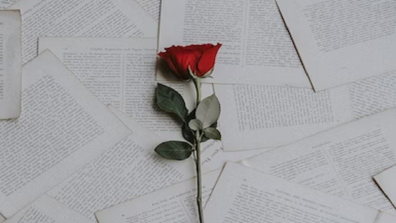 Menguak Misteri Pendapatan Google AdSense:  Seberapa Banyak Uang yang Bisa Didapat dari 1000 Tayangan? (Lebih dari 1600 Kata)