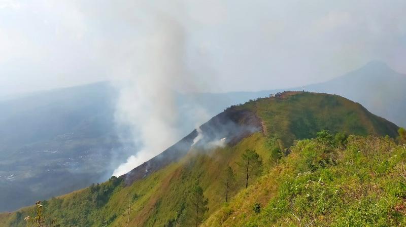  Kebakaran Hutan di Gunung Andong Magelang Diduga akibat Serapan Panas