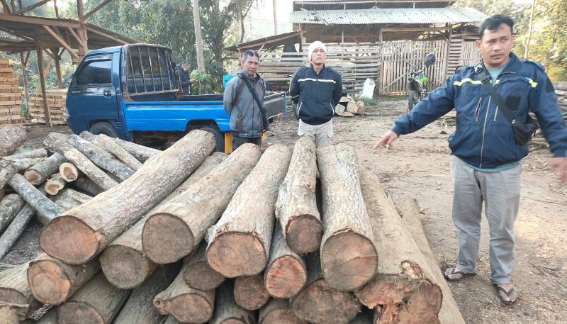 Tangkap 4 Pelaku Pembalakan Liar, Polres Malang Temukan 42 Batang Kayu Siap Jual