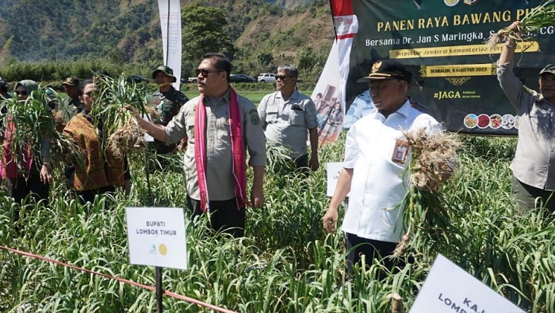 Itjen Kementan Jan Maringka Hadiri Panen Raya Bawang Putih di Sembalun Lombok Timur