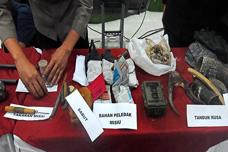 Tumpukan Senjata Api Pemburu Badak Jawa dan Hewan Dilindungi di Ujung Kulon - Bagian 3